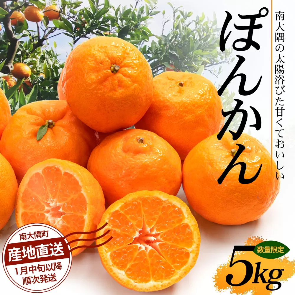 【先行予約・数量限定】南大隅の太陽浴びた甘くて・おいしい ぽんかん 5kg【2026年1月中旬以降順次発送】｜ぽんかん ポンカン 柑橘 甘い 果物 新鮮 産地 直送 先行予約 おすすめ 人気 南大隅町(ID-1)