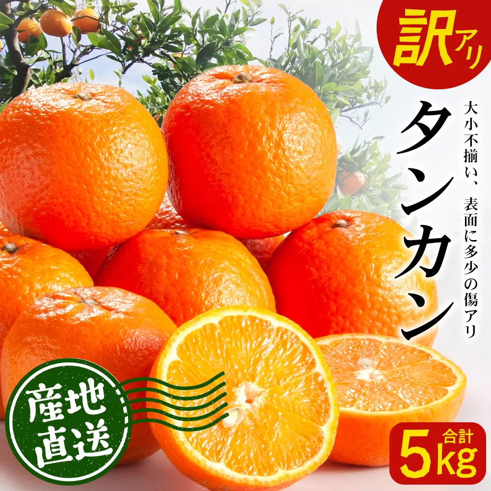 [訳あり][先行予約]南大隅の太陽浴びた甘くて・おいしい タンカン 約5kg[数量限定][2026年2月中旬以降順次発送] ID-3|訳あり 訳アリ たんかん タンカン 柑橘 カンキツ 柑橘類 詰め合わせ 産地直送 先行予約 おすすめ 人気 南大隅町