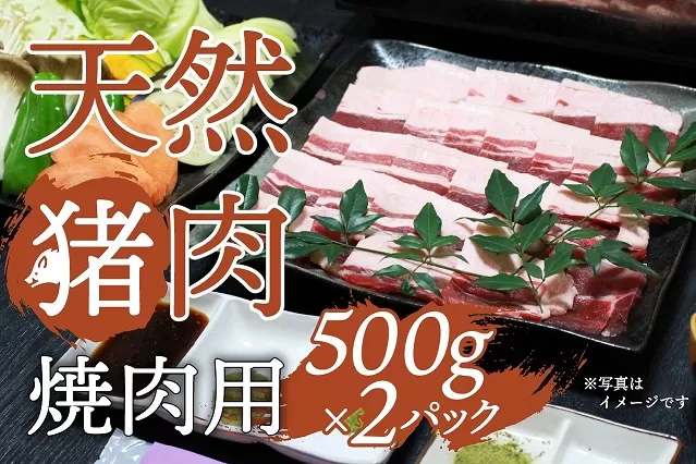  天然イノシシ肉！焼肉・鉄板焼き用(500g×2P・計1kg) 
