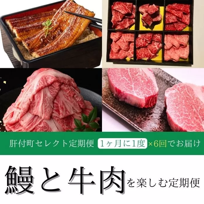 [定期便・全6回]肝付町セレクト定期便[鰻と牛肉を楽しむ定期便]