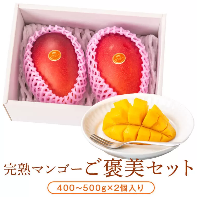 <先行予約受付中!>肝付町産完熟マンゴーご褒美セット(約400~500g×2個)