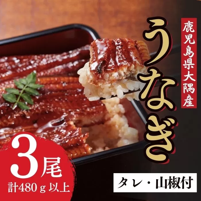 うなぎ蒲焼・大(有頭)(3尾・計480g以上、タレ、山椒付)