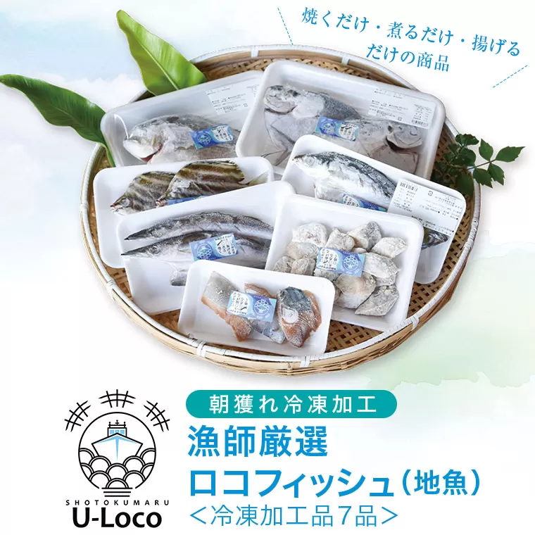 漁師厳選！ロコフィッシュ(地魚) 冷凍加工品7種セット