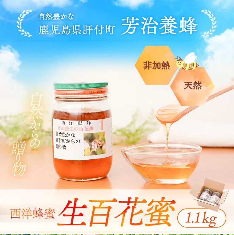  国産西洋蜂蜜 生百花蜜(1.1kg・550g×2) 