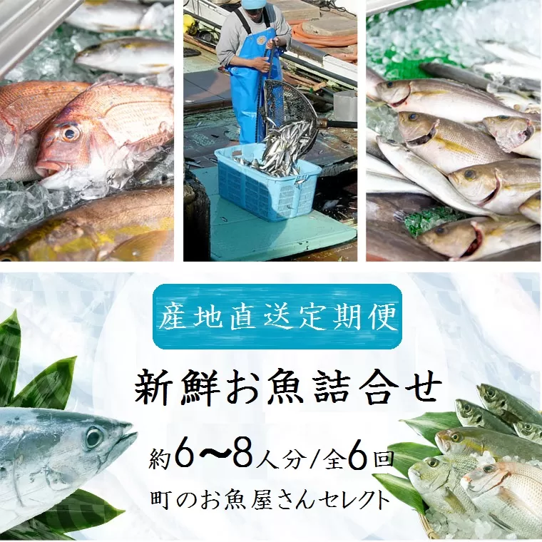 【6回定期便】魚屋さんの選んだ新鮮お魚詰め合わせ(約6～8人分) 