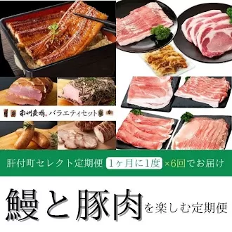  ＜定期便・全6回＞肝付町セレクト定期便《鰻と豚肉を楽しむ定期便》