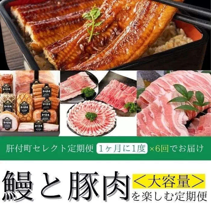 ＜定期便・全6回＞肝付町セレクト定期便《大容量 鰻と豚肉を楽しむ定期便》