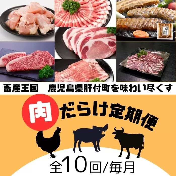 ＜定期便・全10回＞肝付町セレクト定期便《肉だらけ定期便C》