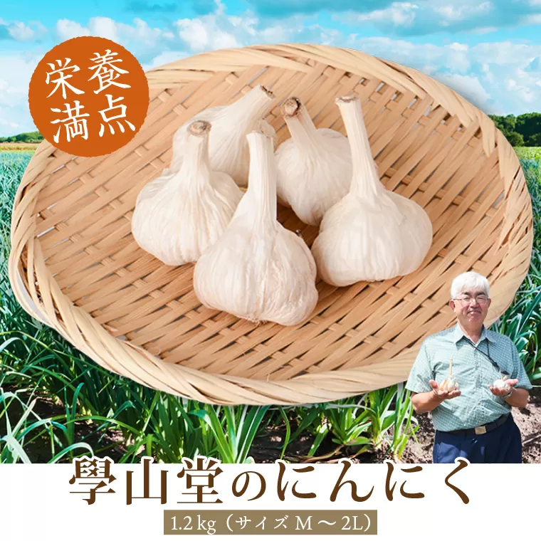 學山堂のにんにく(計1.2kg) 