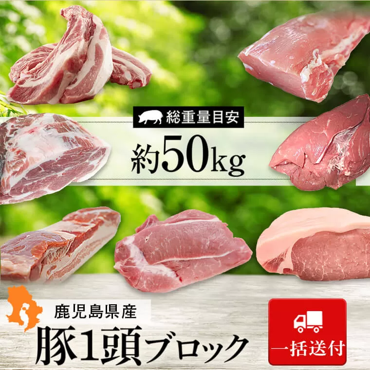 ＜一括送付＞鹿児島県産豚1頭ブロックセット(6箱・総量約50kg前後)【大将食品】