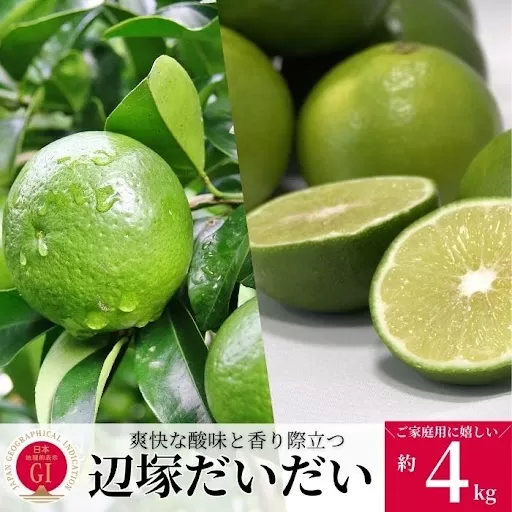<先行受付！2025年9月中旬以降発送！>辺塚だいだい 青果 (4kg) 【NPO法人 陸の宝島・岸良】