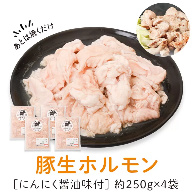  豚生ホルモンにんにく醤油味付(計1kg・250g×4) 