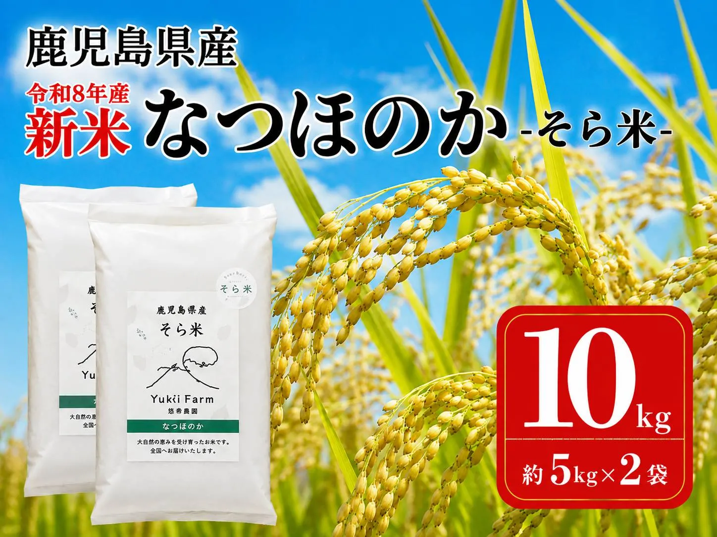 農家直送 令和8年産 新米 鹿児島県産 なつほのか 10kg 国産 自家精米 精米 白米 ごはん ご飯 お米 コメ こめ【悠希農園】