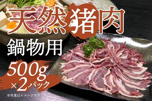  天然イノシシ肉！鍋物用(500g×2P・計1kg) 