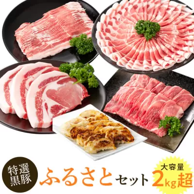 黒豚ふるさとセット(合計約2.3kg)黒豚餃子(12個入)付き【和田養豚】