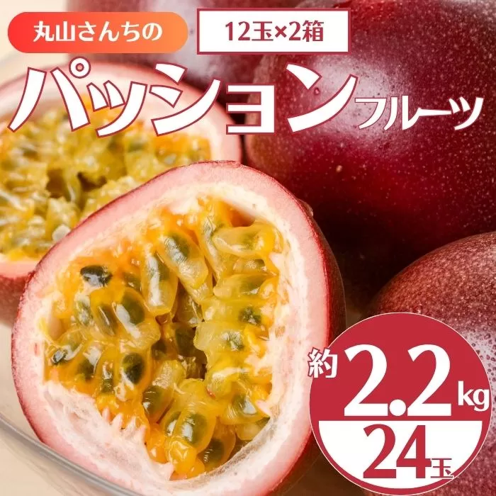 《期間限定》鹿児島県産 丸山果樹園のパッションフルーツ (約2.2kg・12玉入り2箱) 
