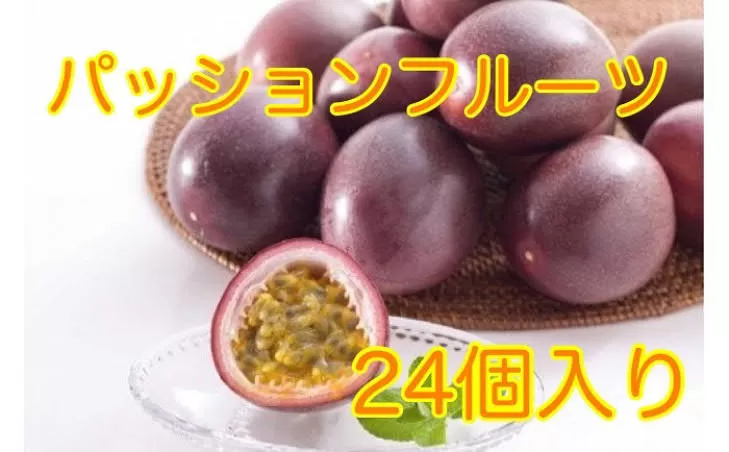 【先行受付】丸山果樹園のパッションフルーツ
