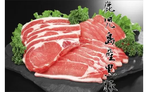 鹿児島県産黒豚ロース＆餃子セット
