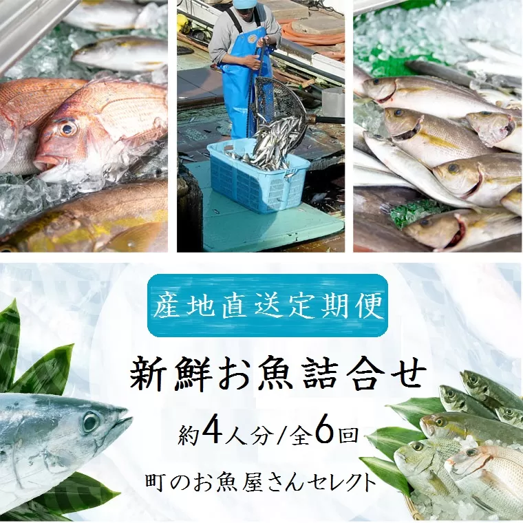 【6回定期便】魚屋さんの選んだ新鮮お魚詰め合わせ(約4人分) 