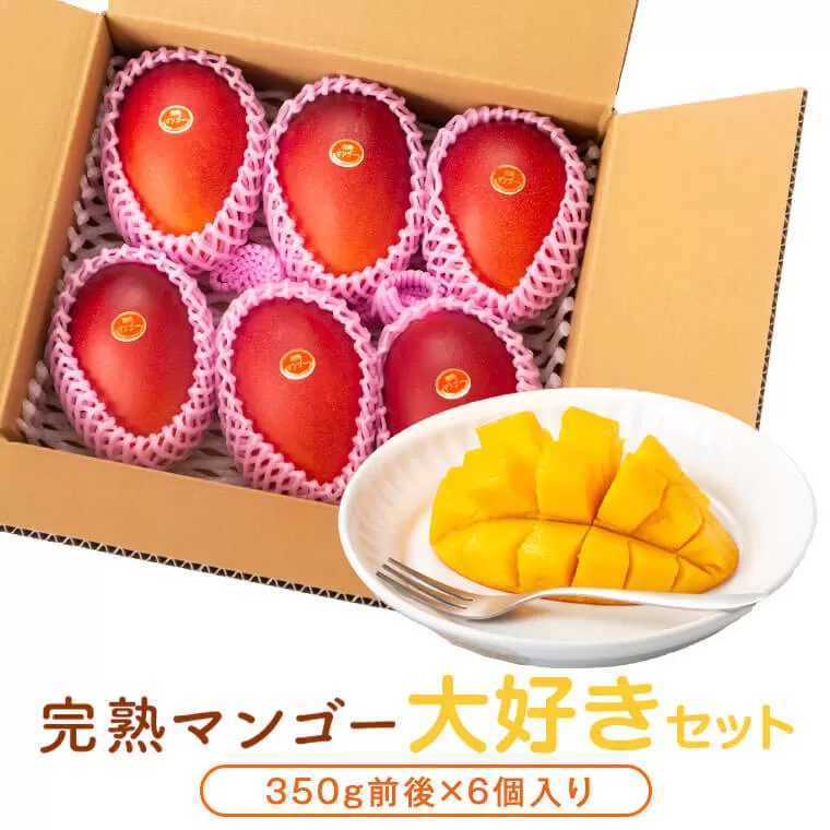 ＜先行予約受付中！＞肝付町産完熟マンゴー大好きセット(約350g×6個)