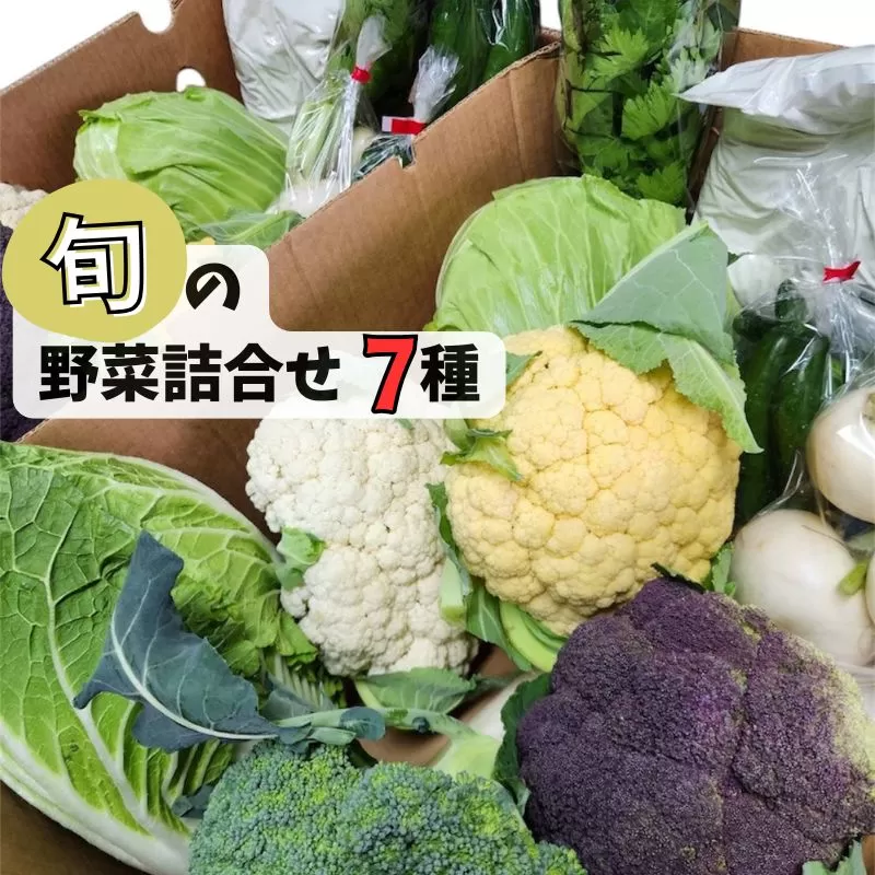 《数量限定》採れたて野菜詰合せ(7種) 