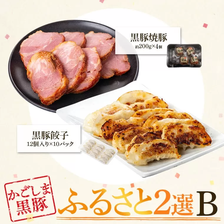 ふるさと2選B 焼豚(約200g×4個)と餃子(12個入×10パック・計120個)のセット【和田養豚】