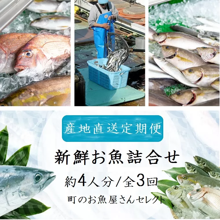 【3回定期便】魚屋さんの選んだ新鮮お魚詰め合わせ(約4人分) 