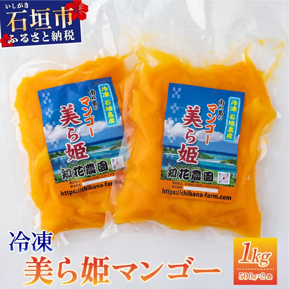 冷凍美ら姫マンゴー 1kg（500g×2袋）CB-3