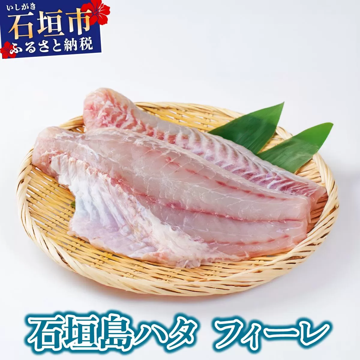 [期間限定 春フェア] 石垣島 ハタ フィーレ | 勝水産 ミーバイ ヤイトハタ 沖縄県石垣市 石垣 沖縄 石垣市 石垣島