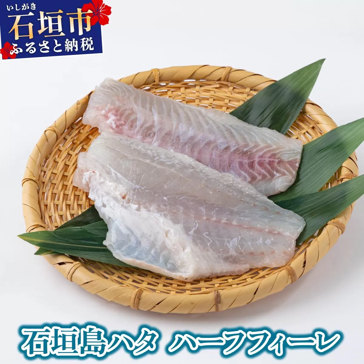 [期間限定 春フェア] 石垣島 ハタ ハーフフィーレ | 勝水産 ミーバイ ヤイトハタ 沖縄県石垣市 石垣 沖縄 石垣市 石垣島