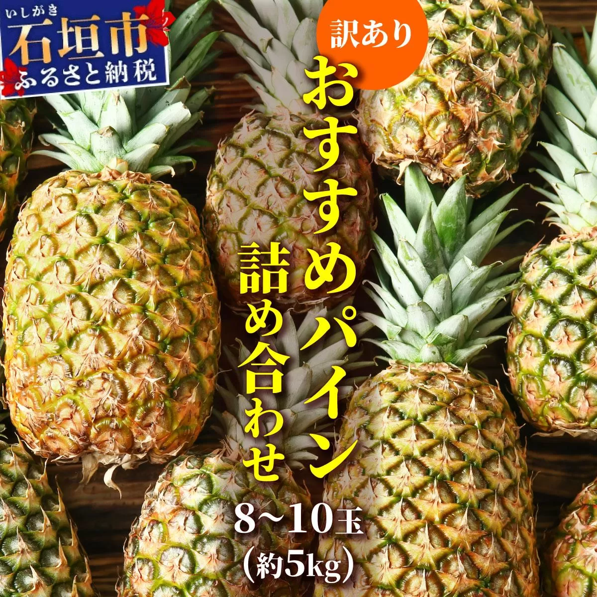 【訳あり】 石垣さんちのおすすめパイン詰め合わせ 8～10玉  (約5kg)《2026年4月中旬から順次発送》 TP-21