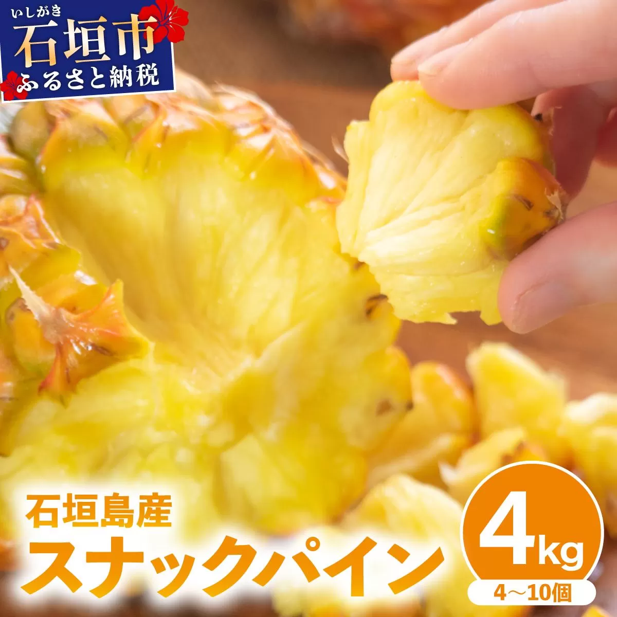 【2026年4月中旬発送】訳あり 石垣島産 スナックパイン 約4kg（4～10個）KP-01 | ふるさと納税 パイナップル 産地直送 フルーツ 果物 パイン 石垣 沖縄 沖縄県石垣市 石垣島