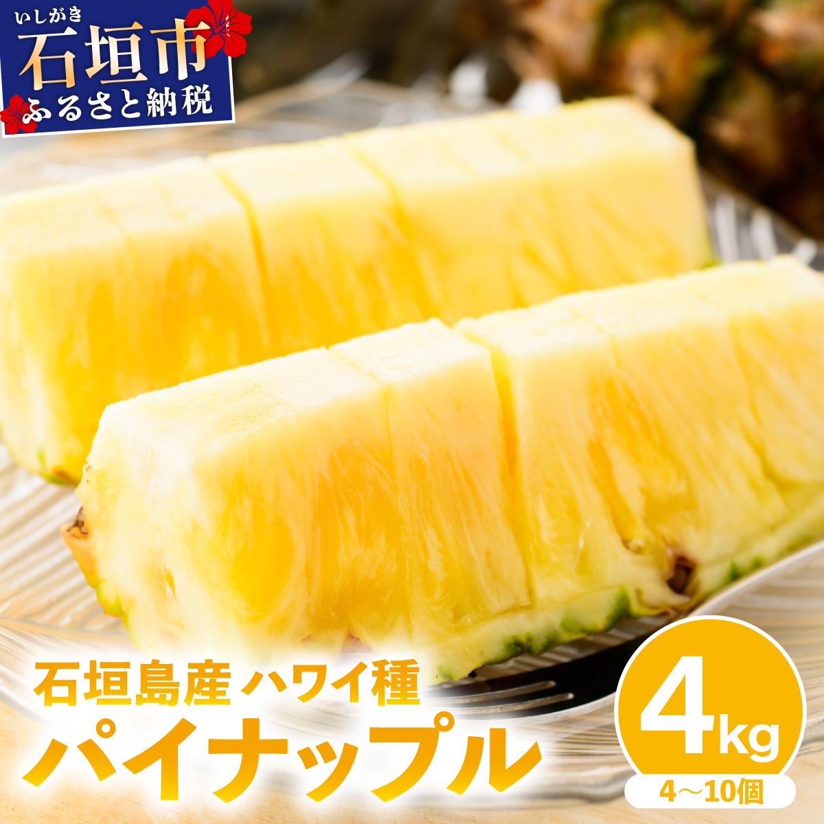 【2026年4月中旬発送】訳あり 石垣島産 ハワイ種パイナップル 約4kg（4～10個）KP-02 | ふるさと納税 パイナップル 産地直送 フルーツ 果物 パイン 石垣 沖縄 沖縄県石垣市 石垣島