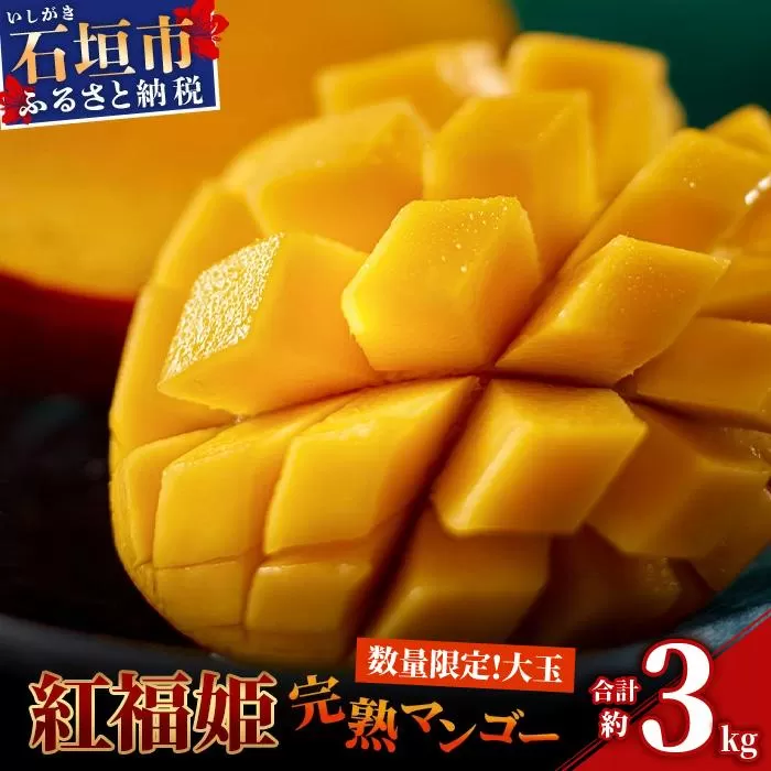 【2026年発送 先行予約】【数量限定】「紅福姫ブランド」石垣島のマンゴー 約3kg 【沖縄県 石垣市 産地直送 旬 石垣島産 マンゴー 完熟マンゴー アーウィン種マンゴー】OT-06