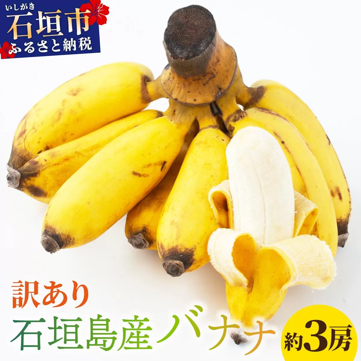 ＜訳あり＞ 大満足！石垣島産バナナ3房 ＜2026年6～10月発送＞ KP-022