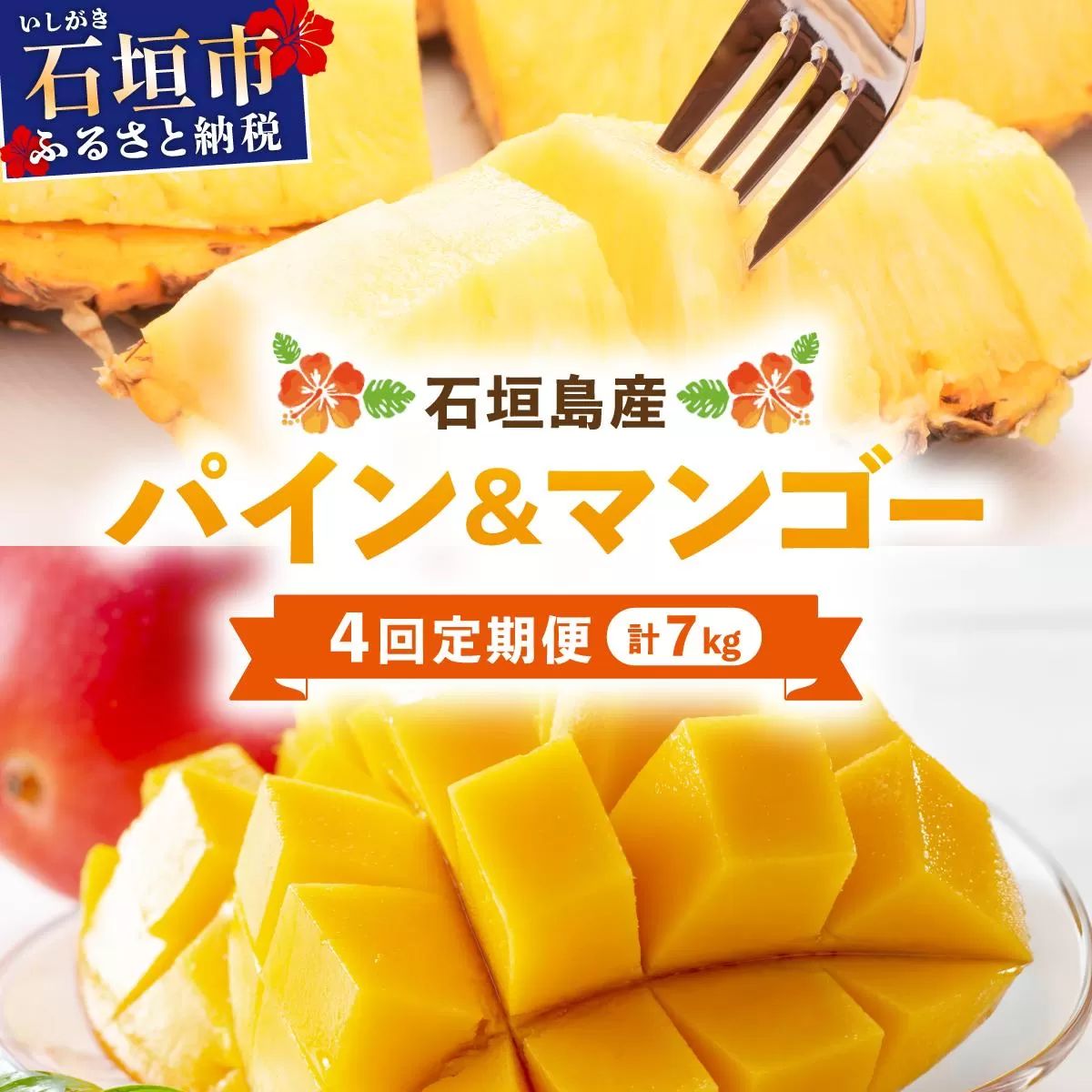【2026年5月から発送 4回定期便】石垣島産パイナップル約2kg×3回・マンゴー約1kg×1回セット KP-20