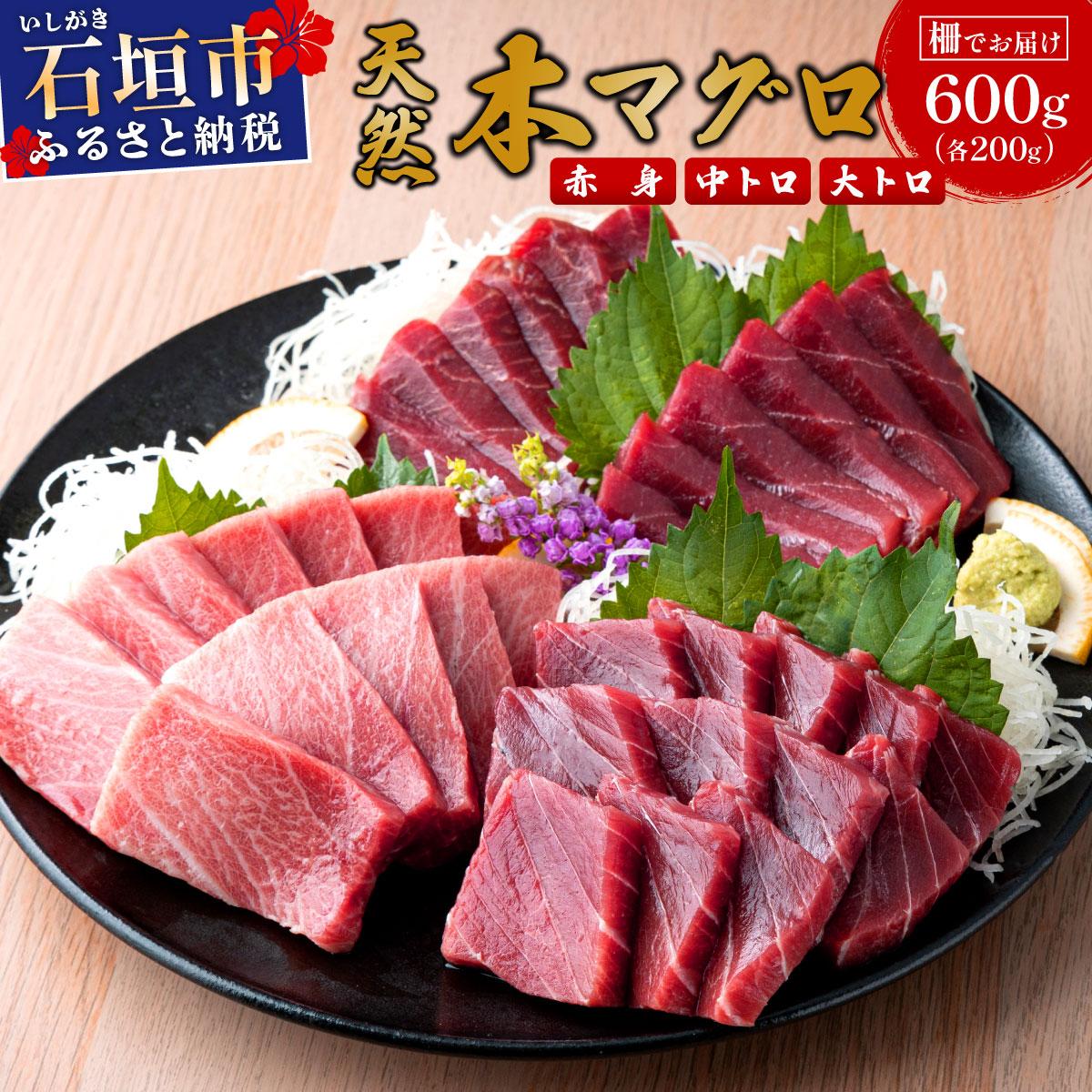 【数量限定】石垣島産 天然本マグロ 600g (まぐろ赤身・中トロ・大トロのミックスセット) ヤエスイ マグロ船直送 ＜2025年6月下旬より発送＞ | 産地直送 大トロ 大とろ 中トロ 中とろ 国産 まぐろ 鮪 天然 赤身 魚 お刺身 本まぐろ マグロ 沖縄県 沖縄 琉球 八重山 八重山諸島 石垣島 石垣 石垣島産