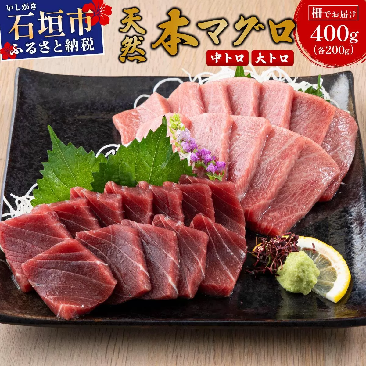 石垣島産 天然本マグロ 中トロ & 大トロ 約400g ヤエスイ マグロ船直送【順次発送】 | 産地直送 大トロ 大とろ 中トロ 中とろ 国産 まぐろ 鮪 天然 赤身 魚 お刺身 本まぐろ マグロ 沖縄県 沖縄 琉球 八重山 八重山諸島 石垣島 石垣 石垣島産