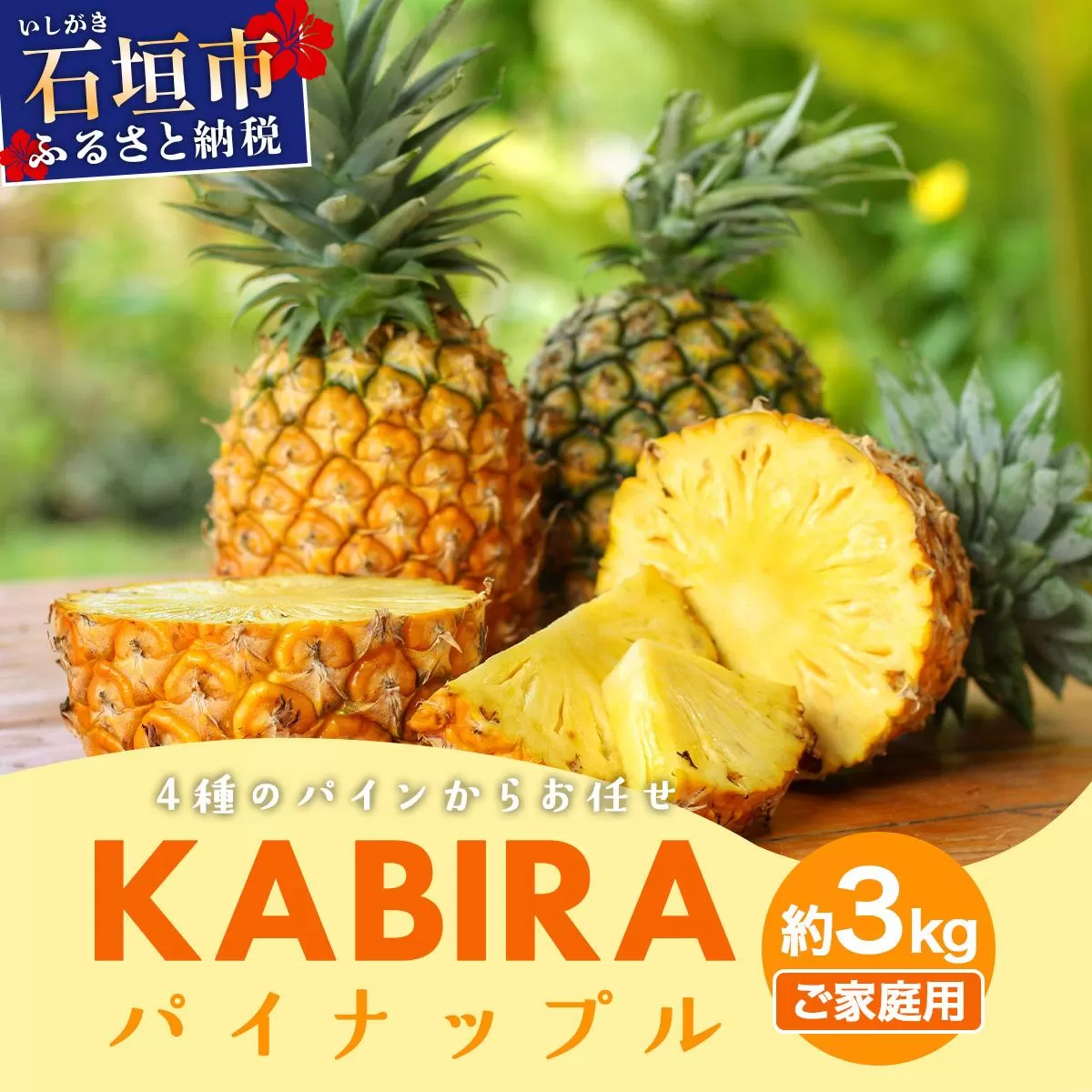 KABIRA パイナップル 訳あり ご家庭用 約3kg 4種のパインからお任せ ＜2026年6月から発送＞ | 石垣 パイン  MF-002