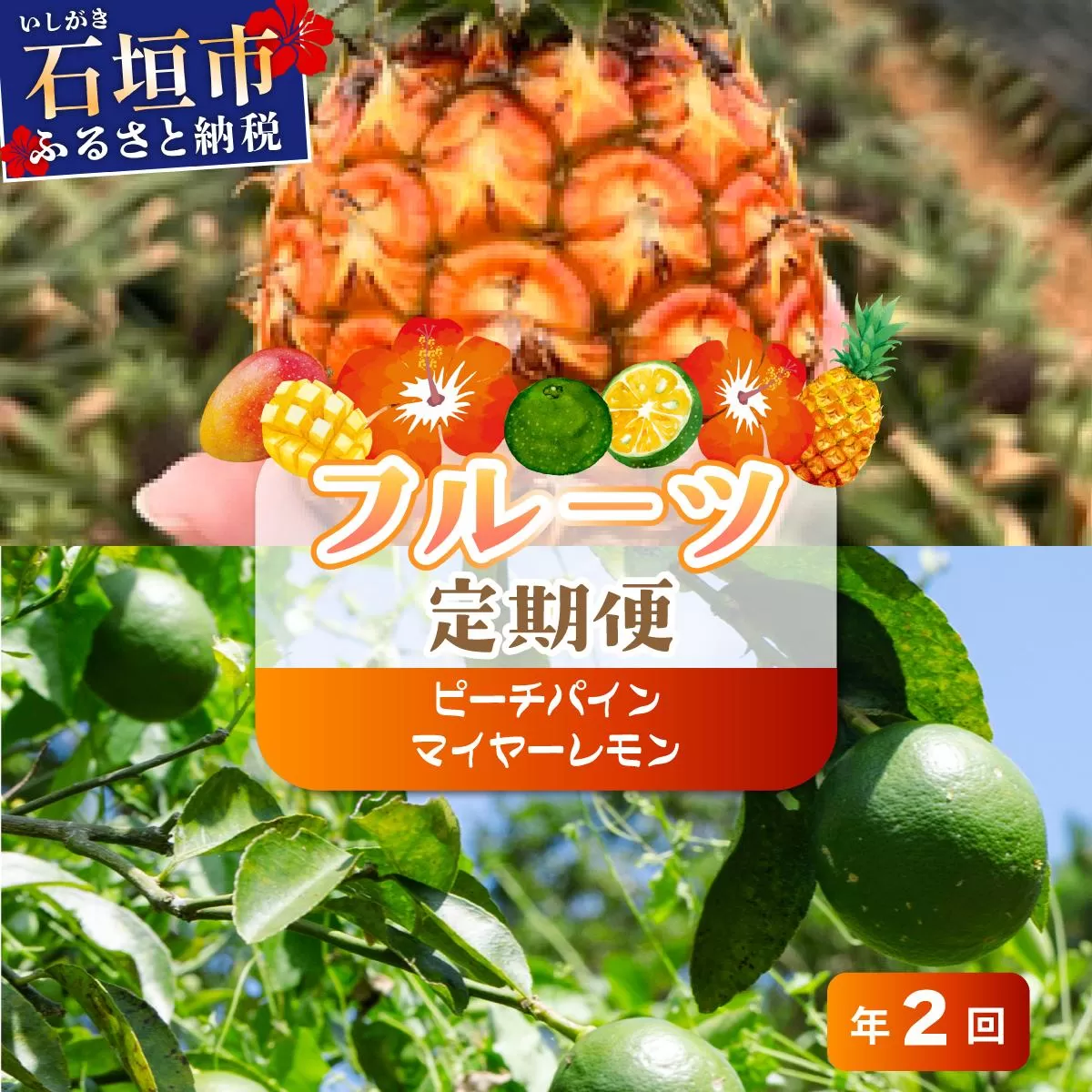 [定期便]よくばり定期便(ピーチパイン、マイヤーレモン)年2回