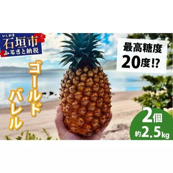 【先行予約2026年5月下旬順次発送】最高糖度20度！？石垣島産完熟ゴールドバレル 2玉 約2.5kg