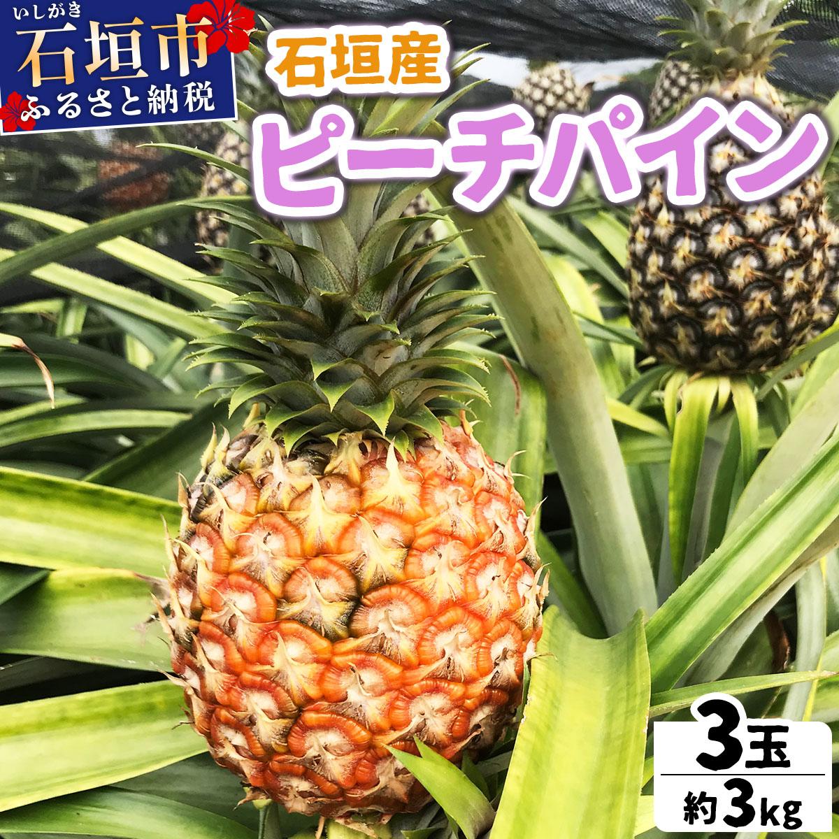 ＜先行予約＞ 農家直送！石垣島産 ピーチパイン 3個セット 約3kg ＜2026年3月下旬発送＞ | パイナップル パイン 沖縄県 石垣市 石垣島 南国 フルーツ 果物 季節限定 YE-001
