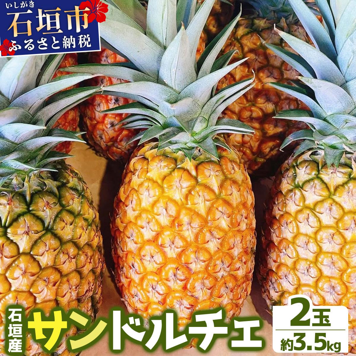 ＜先行予約＞ 農家直送！石垣島産サンドルチェ 2個セット 約3.5kg ＜2026年4月中旬発送＞ | パイナップル パイン 沖縄県 石垣市 石垣島 南国 フルーツ 果物 季節限定 YE-004