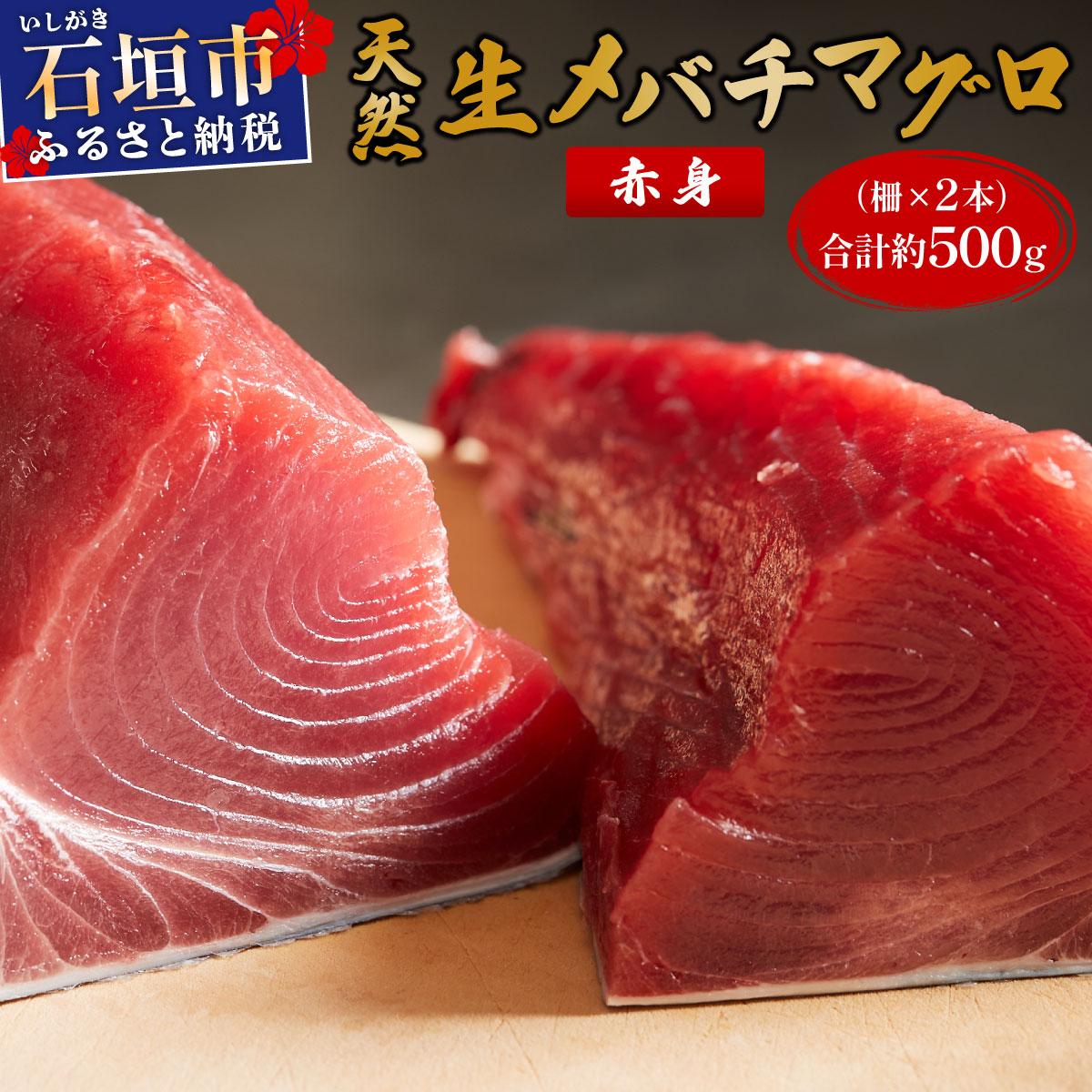 石垣島産 生メバチマグロ 極上 赤身柵 200g～300g×2本 約500g | マグロ 鮪 沖縄県 石垣市 送料無料 天然 まぐろ メバチマグロ めばちまぐろ 刺身 お刺身 冷蔵 ヤエスイ マグロ船直送
