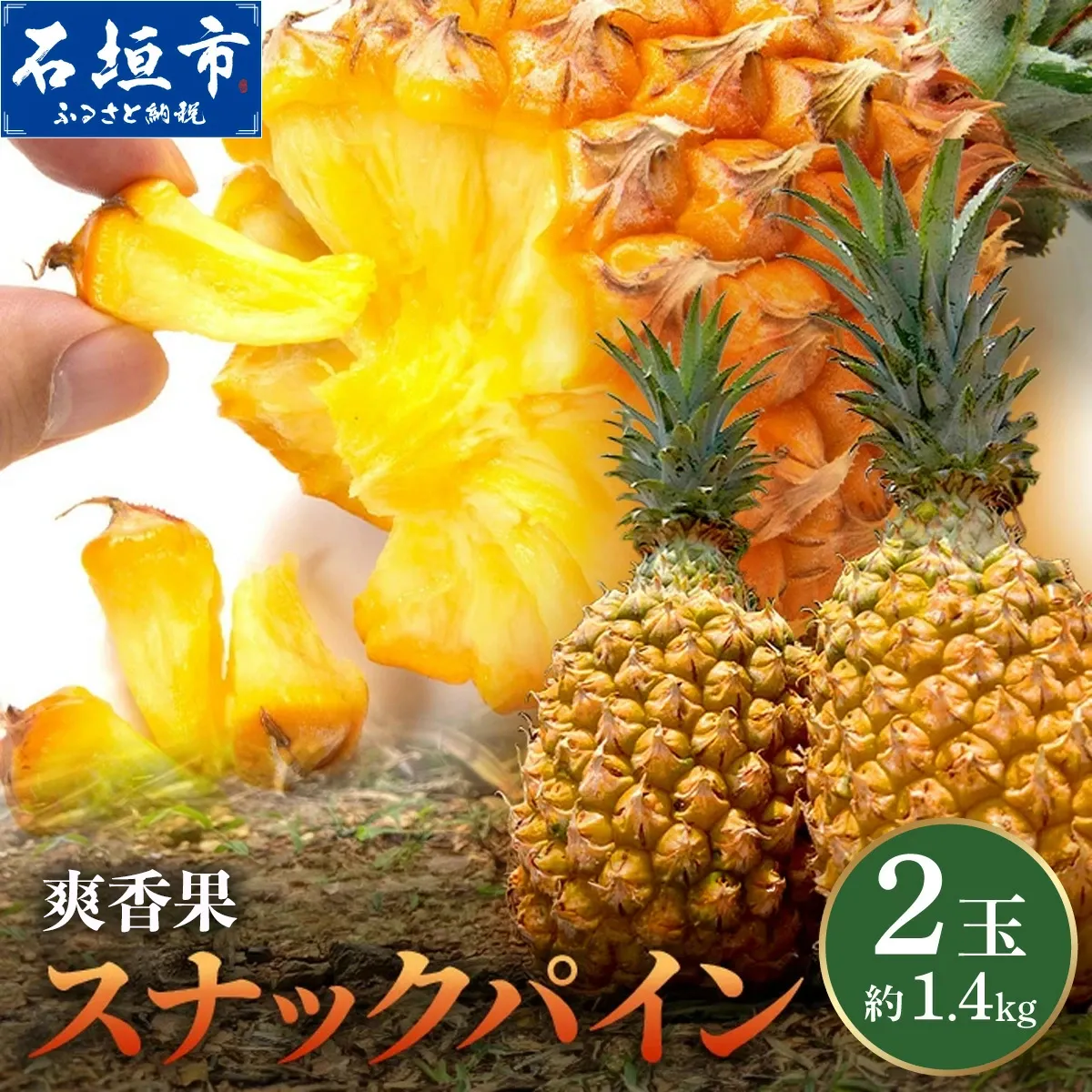 ＜数量限定＞《2027年4月上旬以降発送》お試し用 爽香果 スナックパイン 2玉 約1.4kg | パイン パイナップル ボゴール 沖縄 石垣島 石垣 八重山 期間限定 数量限定 産地直送 送料無料