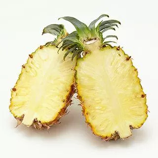 ＜先行予約＞【訳アリ】石垣島産有機パイナップル 約2.8kg(2～5玉) | 沖縄県 石垣市 石垣島 南国 フルーツ 果物 季節限定 パイン