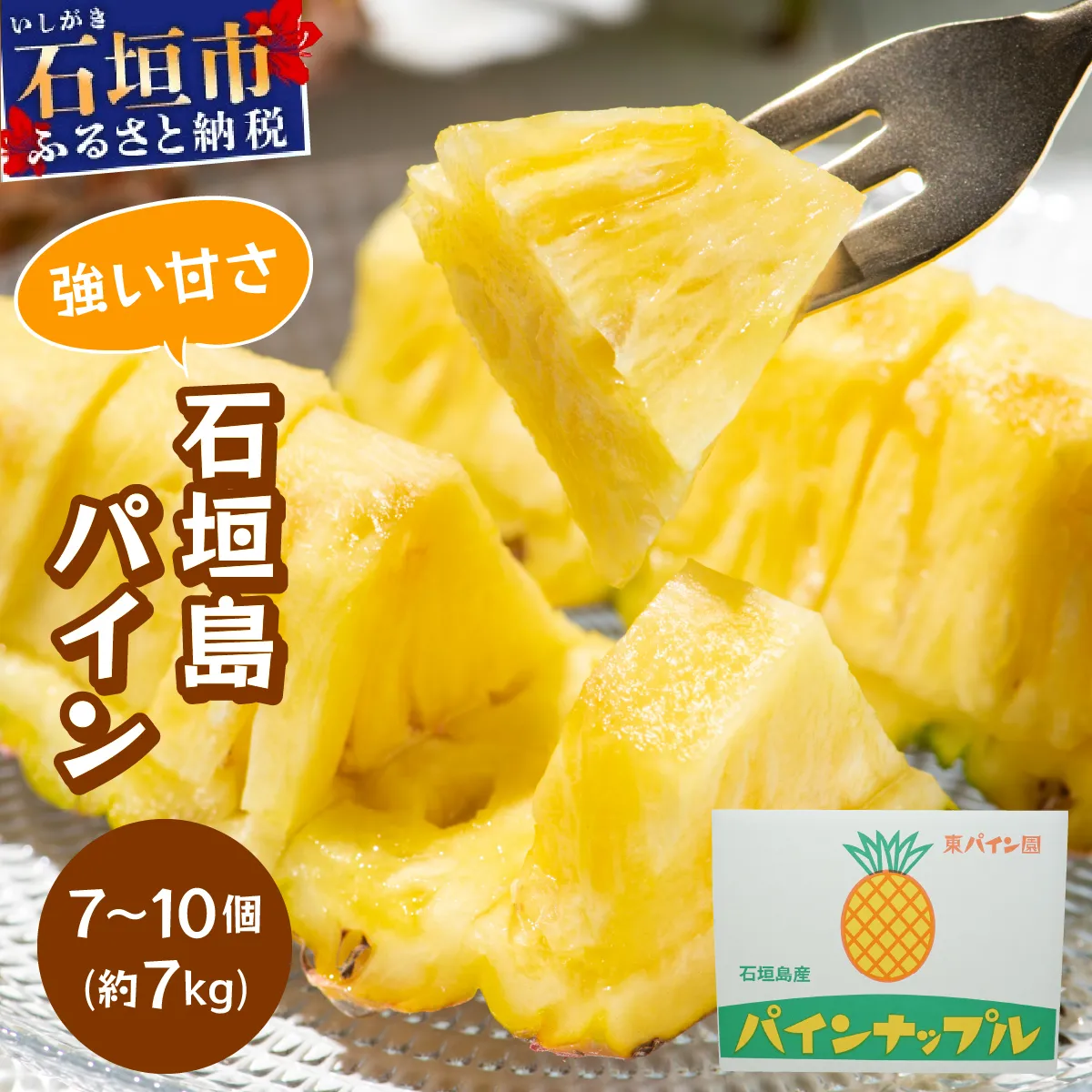石垣島パイン(ハワイ種またはピーチパイン) 7~10個(約7kg) 【2026年6月中旬頃より順次発送】PE-001