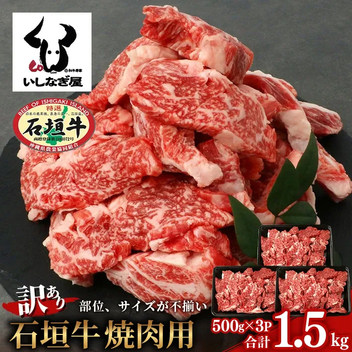 【訳あり】 石垣牛 焼肉用 (不揃い) 1.5kg【訳アリ 沖縄県 石垣島 石垣牛 国産 黒毛和牛 牛肉 牛 和牛 焼肉 BBQ 】AB-036