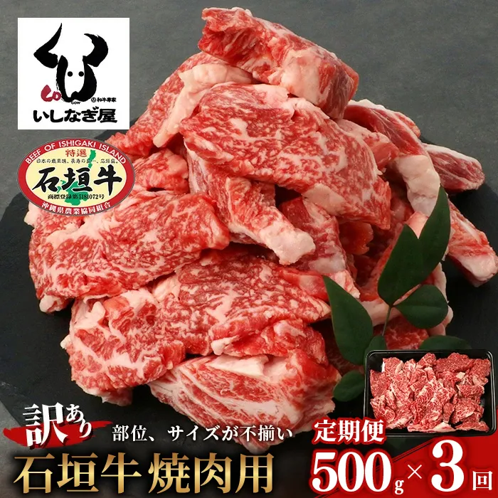 【定期便】《隔月全3回》【訳あり】石垣牛 焼肉用（不揃い）500g【訳アリ 沖縄県 石垣島 石垣牛 国産 黒毛和牛 牛肉 牛 和牛 焼肉 BBQ 】AB-026-t03