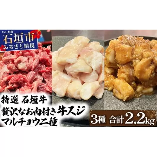 【2025年11月以降順次発送】特選石垣牛の牛スジとマルチョウ、秘伝の味噌味をご家庭で！！牛スジ500g×2、マルチョウ300ｇ×2、味噌味マルチョウ300ｇ×2の大満足のよくばりセット | 沖縄 石垣 牛スジ マルチョウ ホルモン 牛 肉 特選 黒毛 和牛 贅沢 秘伝 ミソ 味噌 家庭用 | IM-30